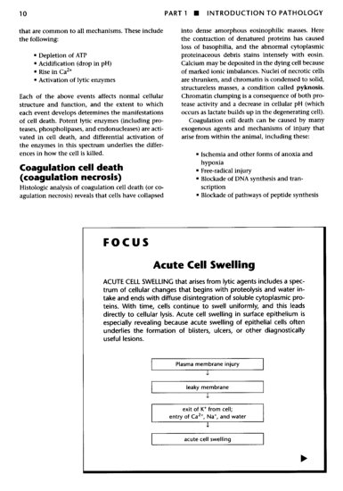 Image of example page 4 (second of two facing pages)