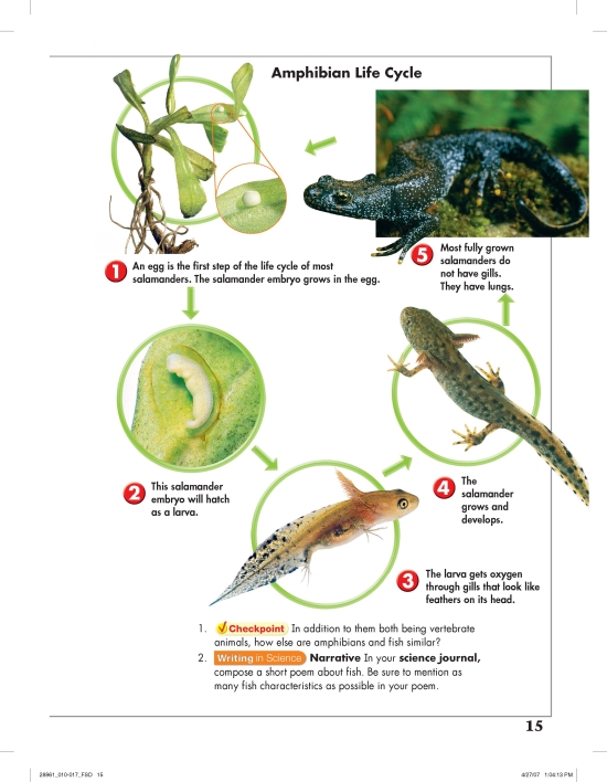 Page 15 from Science (0-328-28961-2) by Pearson Scott Foresman