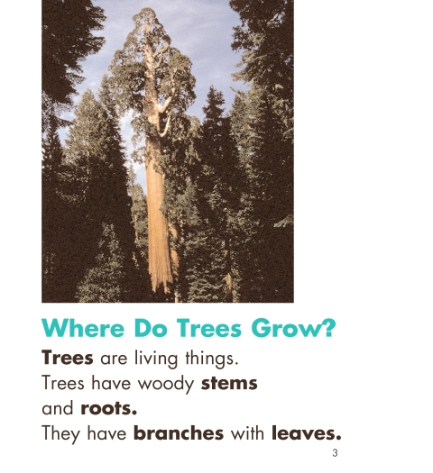 Page 1 from Trees (1-58356-884-0) by Delta Education